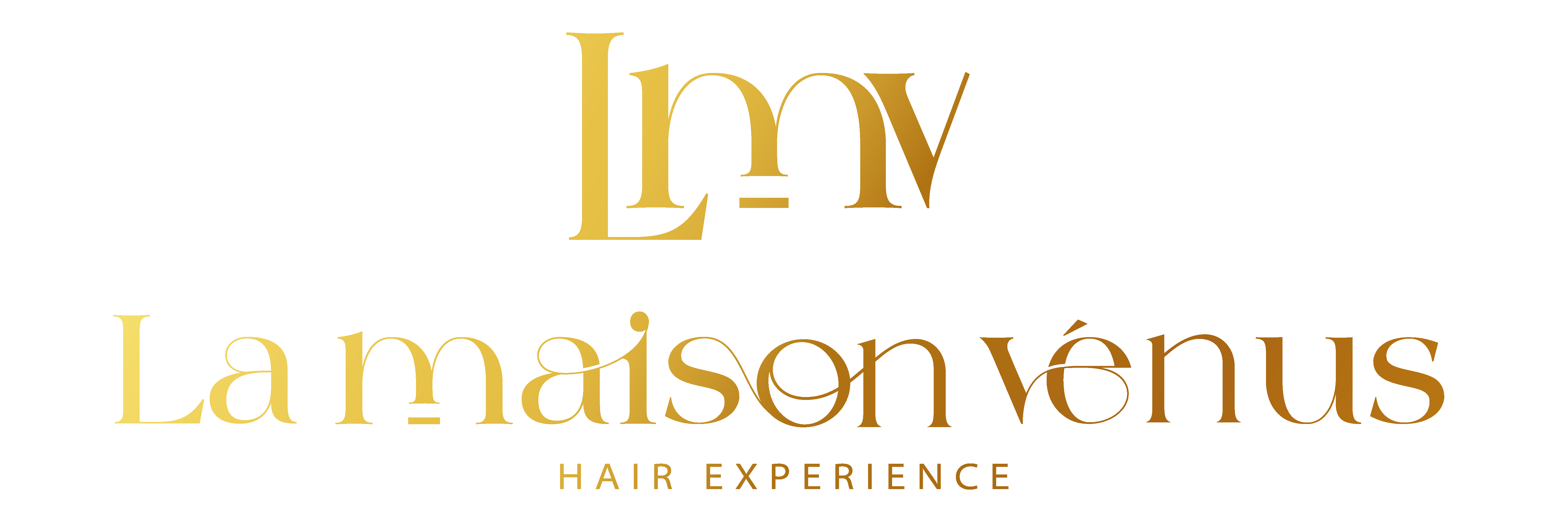 LOGO LMV